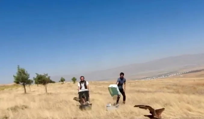 Kızıl Şahinler özgürlüğe uçtu
