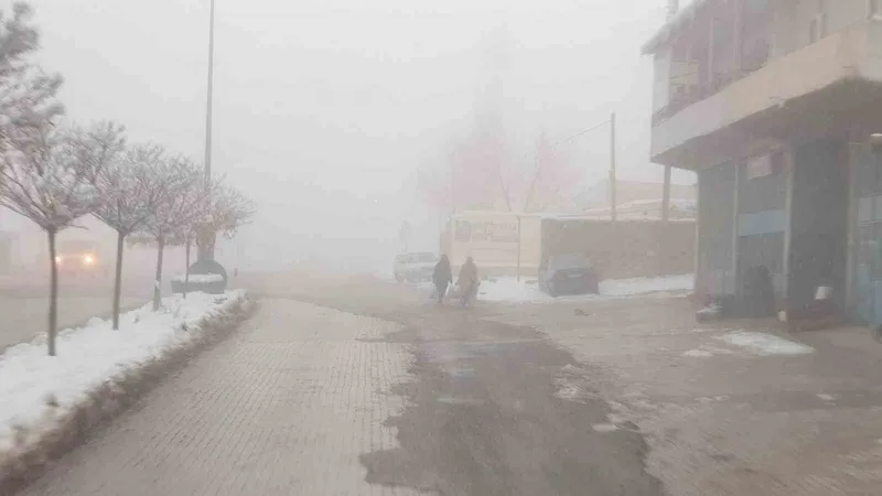 Başkale’de sis etkili oldu