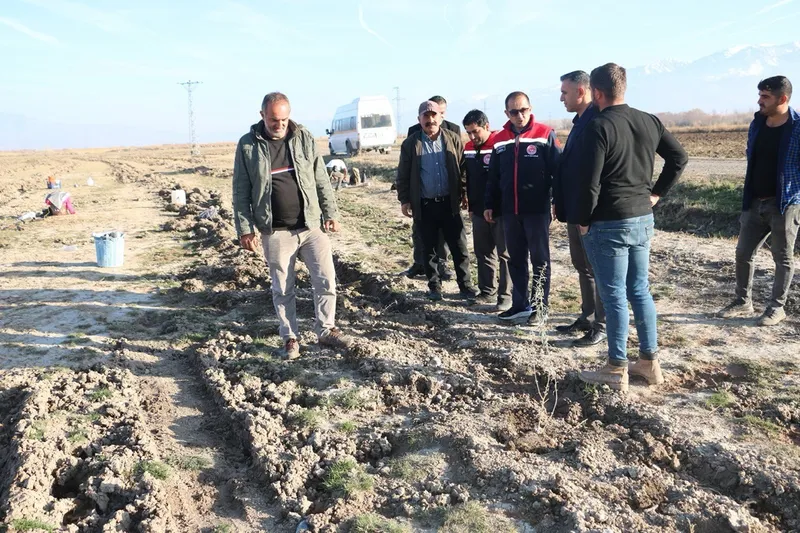 Erzincan’da 111 bin tuz çalısı toprakla buluşturuldu
