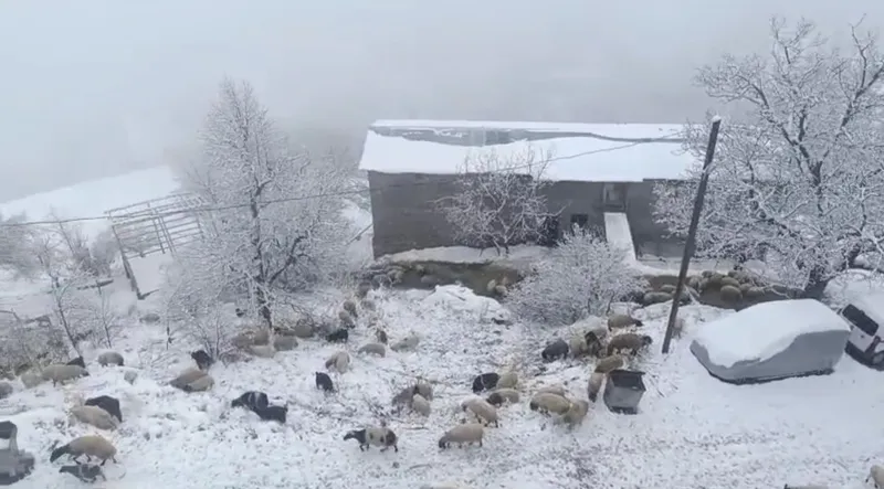 Bahçesaray’da kar yağışı