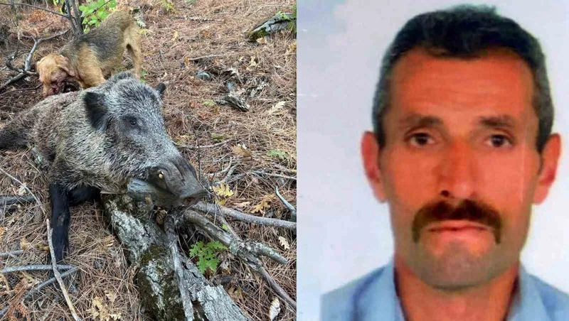 Domuz saldırısı sonucu hayatını kaybetti