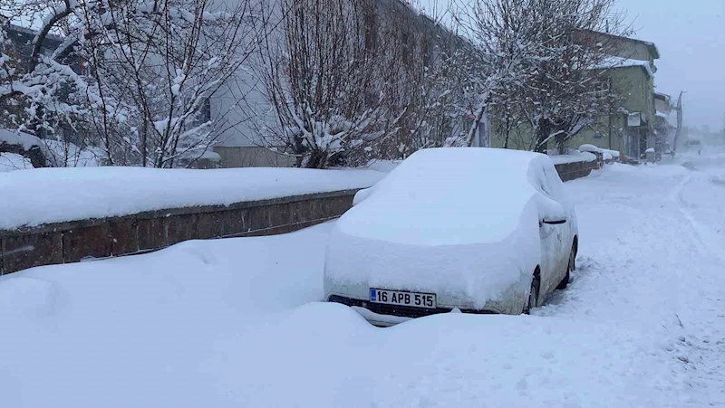 Karlıova’da kar hayatı olumsuz etkiledi, 47 köy yolu ulaşıma kapandı
