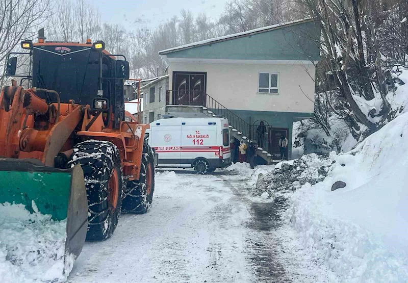 Van Büyükşehir Belediyesi