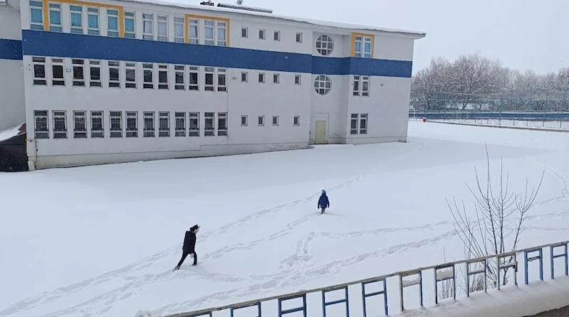Muradiye’de kar yağışı: 15 yerleşim yerinin yolu kapandı
