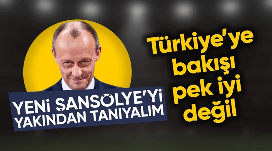 Friedrich Merz, Almanya