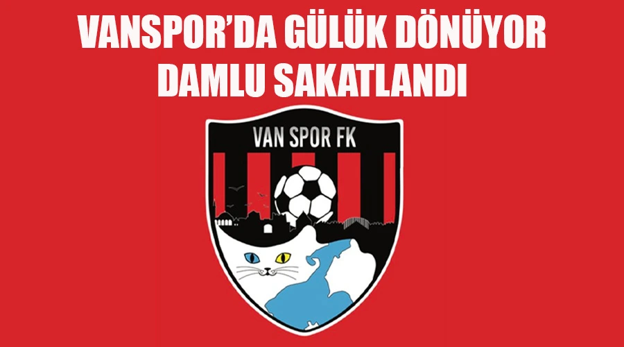 Vanspor
