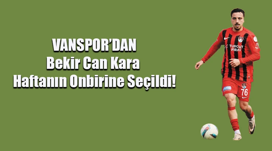 Vanspor