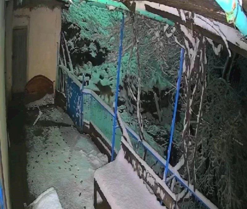 Elazığ’da çakalın tepsiyi çalma anı kamerada
