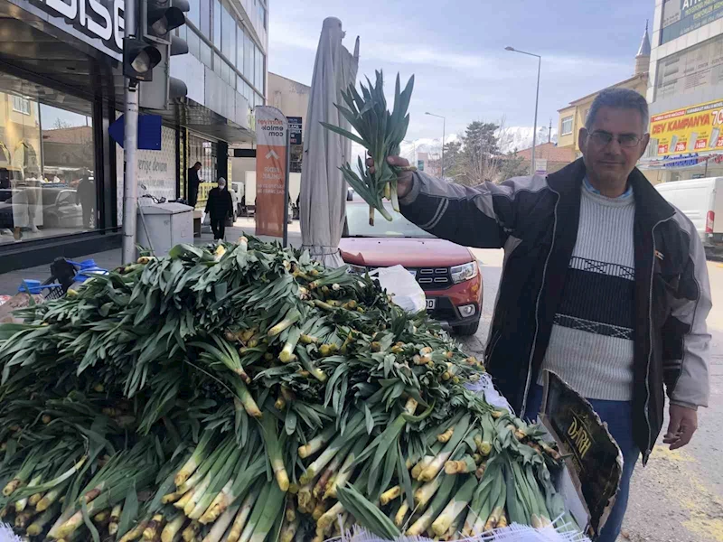 Doğal antibiyotik ’çiriş otu’ tezgahlarda yerini aldı
