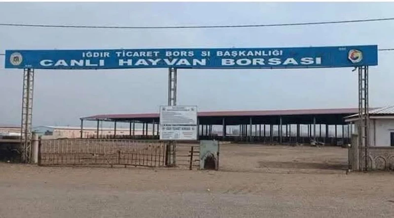 Iğdır’da hayvan pazarı açılıyor
