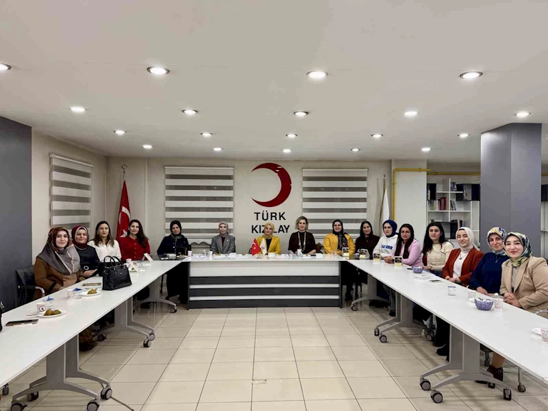 Kızılay Kadın Kolları, 