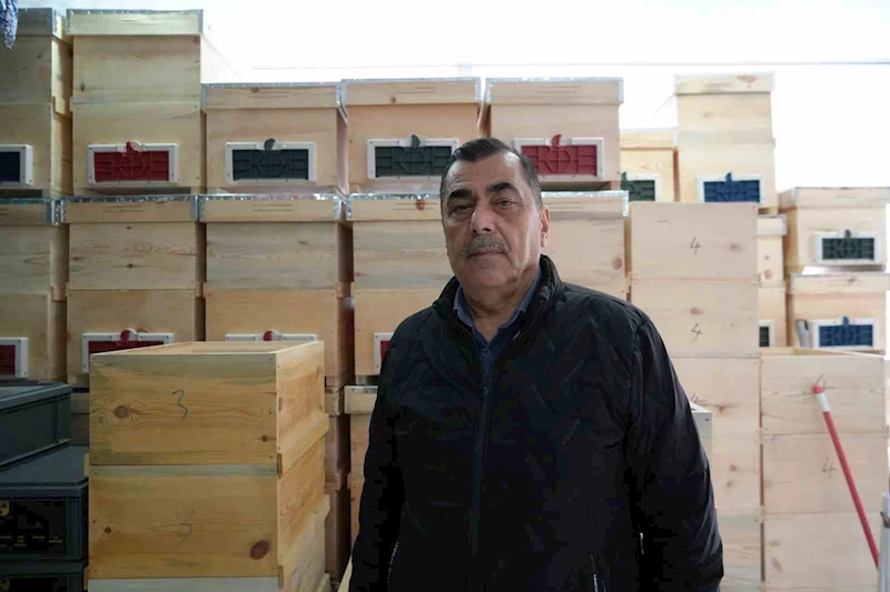 Arı ölümleri korkutuyor
