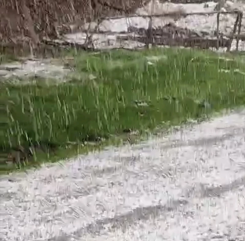Elazığ’da dolu yağışı etkili oldu
