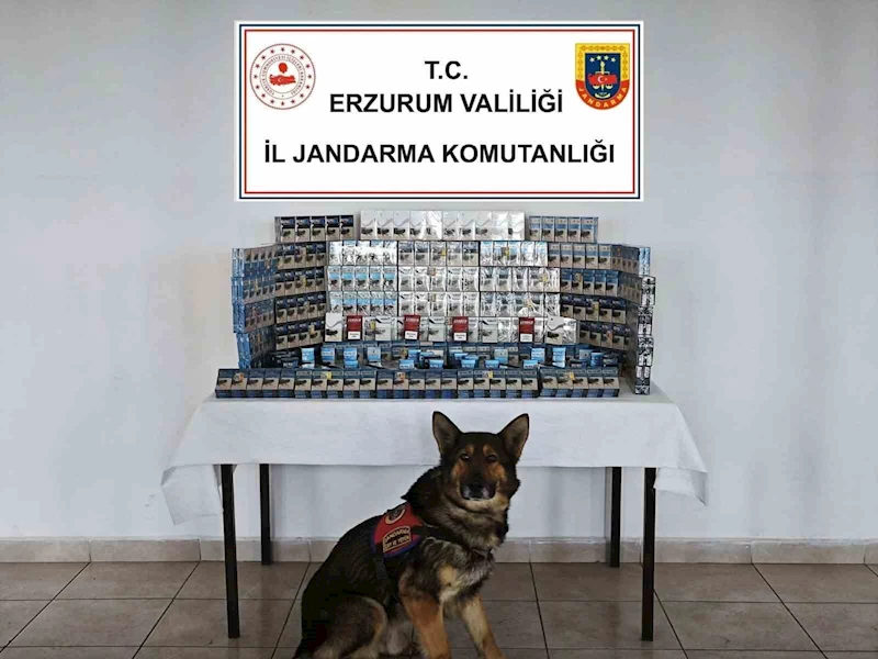 Jandarmadan kaçakçılara geçit yok
