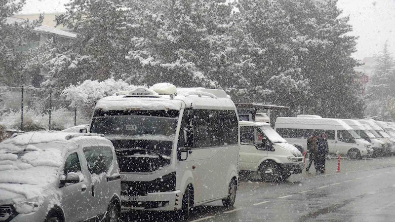 Ahlat’ta nisan karı etkili oldu
