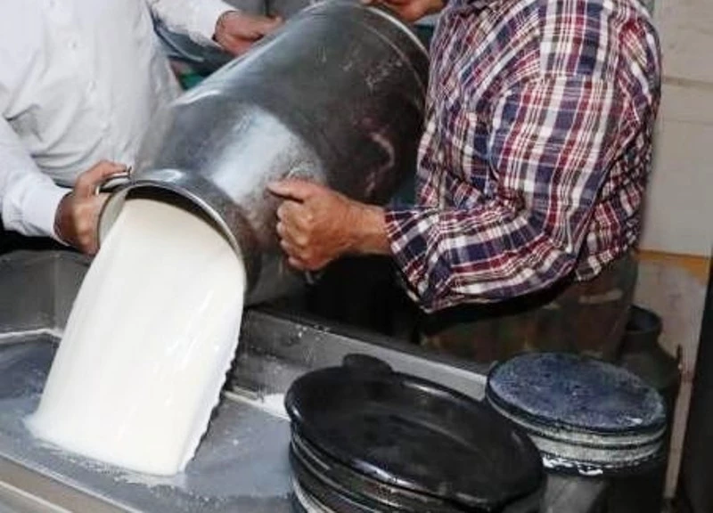 Ticari süt işletmelerince 857 bin 821 ton inek sütü toplandı
