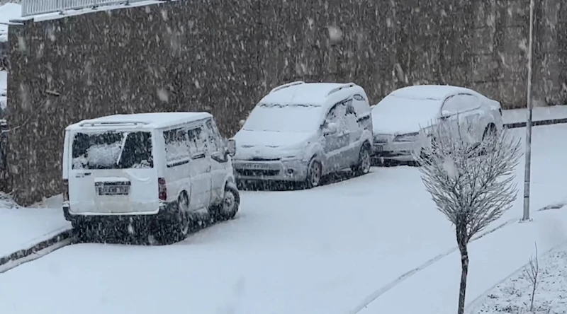 Yüksekova’da nisan ayında lapa lapa kar yağışı
