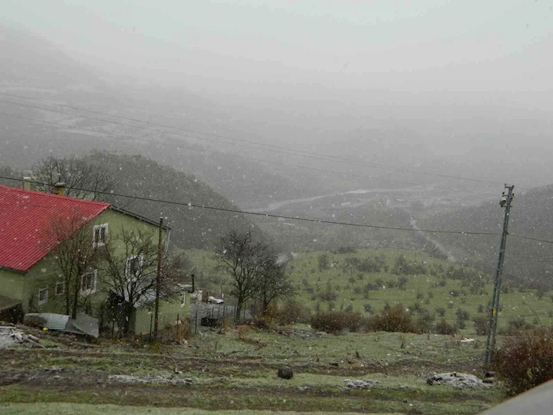 Posof’ta kar yağışı etkili oluyor
