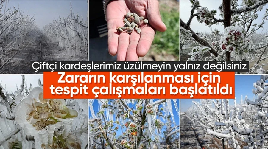 Zirai Don Tehdidi Aşıldı: Cumhurbaşkanı Erdoğan