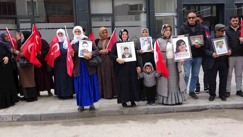 Vanlı Annelerin DEN Parti Önündeki Evlat Nöbeti 100’üncü Haftasında