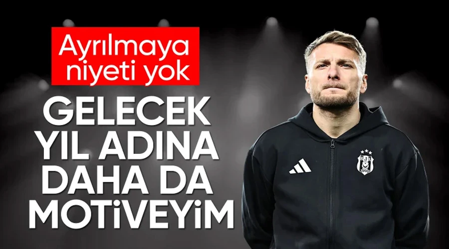 İmmobile