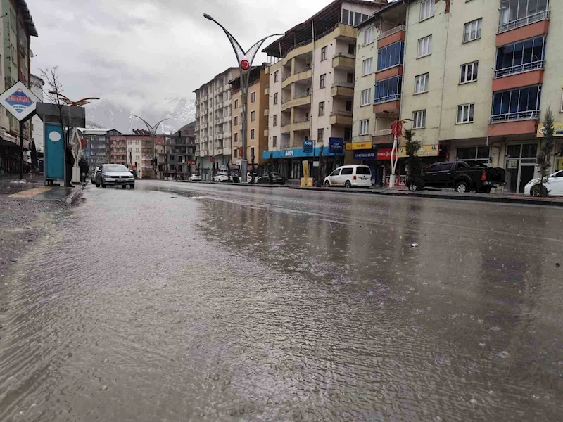 Hakkari’de sağanak yağış ve dolu etkili oldu
