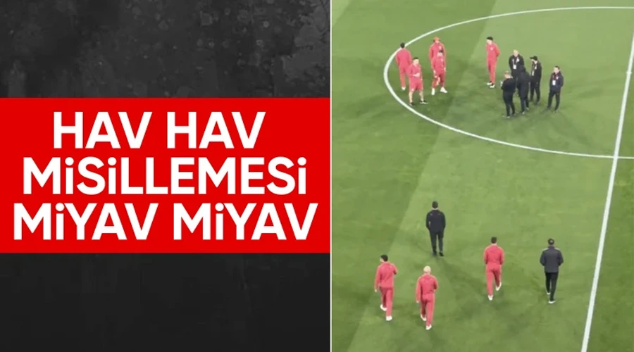 Fenerbahçe