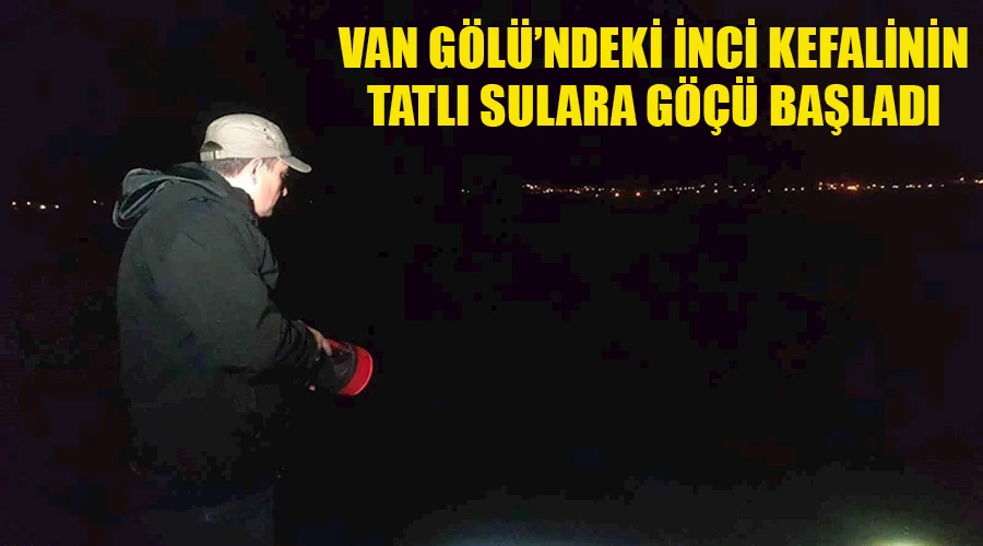 Van Gölü