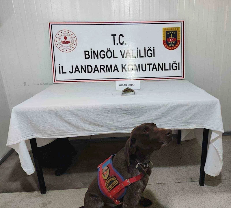Bingöl’de uyuşturucu madde ve tüfek ele geçirildi
