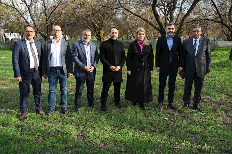 AK Parti milletvekillerinden Malatya’da kayısı incelemesi: 