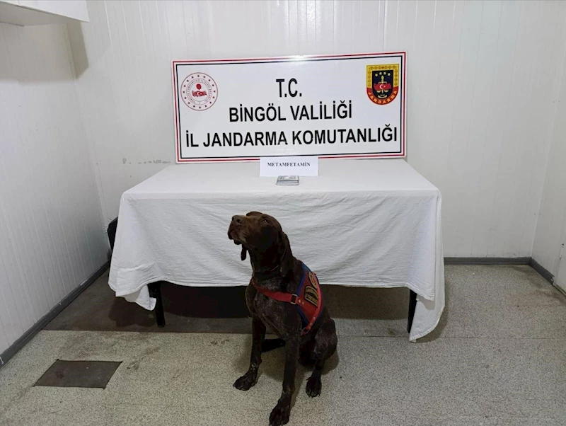 Bingöl’de uyuşturucuyla mücadele: 2 gözaltı

