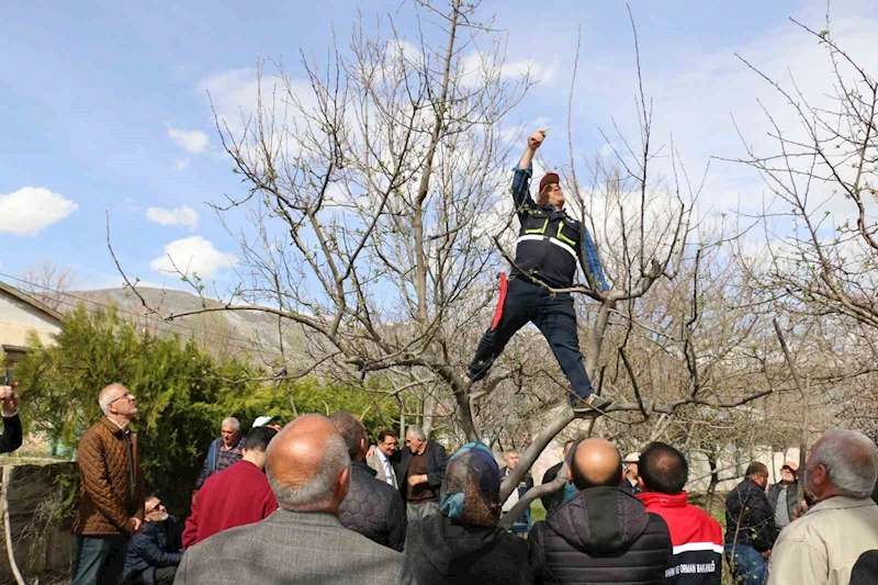Erzincan’da budama kursuna yoğun ilgi
