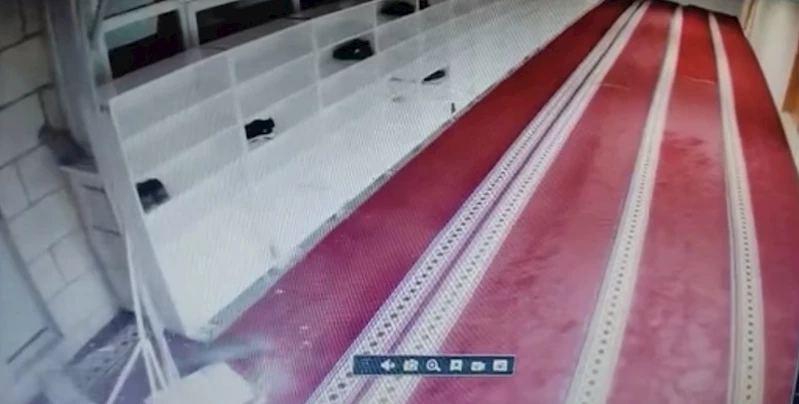 Kedinin caminin asma tavanını yıkarak aşağı düştüğü anlar kamerada

