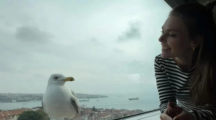 Aslı Enver 41