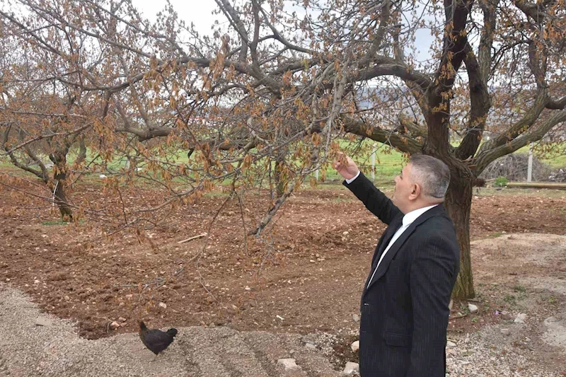Sadıkoğlu: 