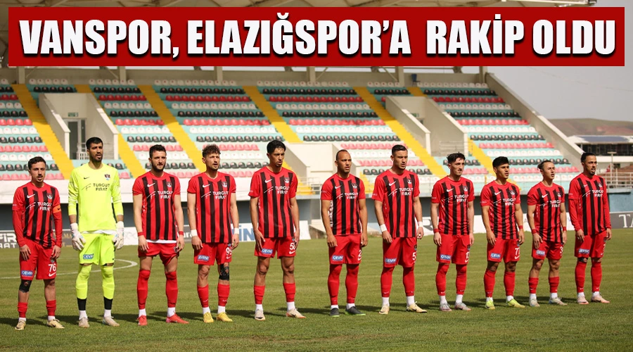 Vanspor FK, Play-Off