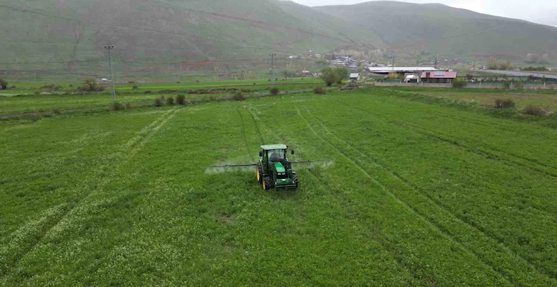 Cann gübre Erzurum çiftçisine can simidi oldu
