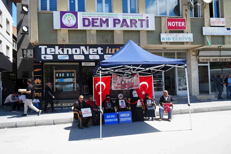 Anne Şahinaz Özcan: 