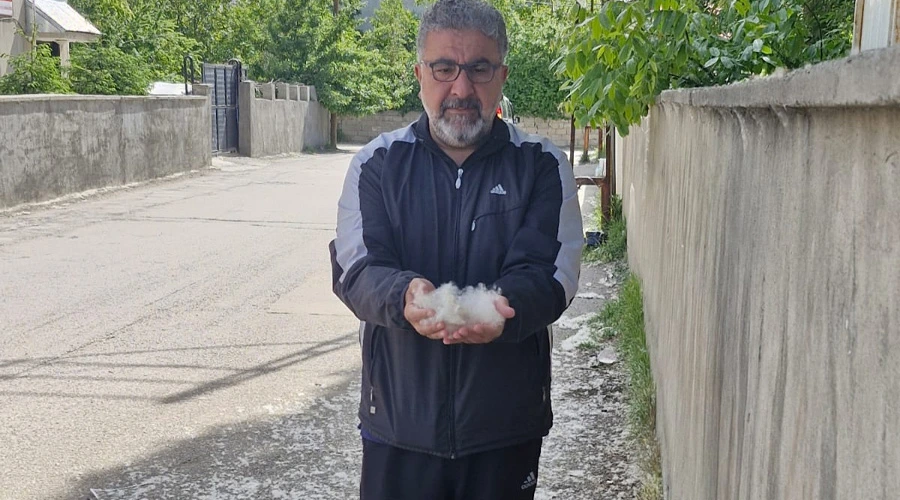 Van’da Polenler İnsanları Hastanelik Ediyor: Binlerce Kişi Mağdur, Yetkililere Acil Çağrı