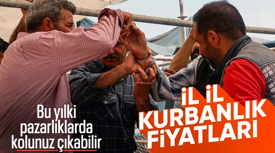 Kurban Pazarlarında Fiyat Şoku: İl İl Güncel Kurbanlık Fiyatları!