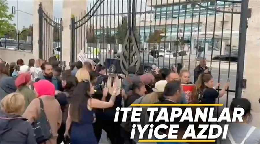 Sokak Hayvanları Destekçileri AYM