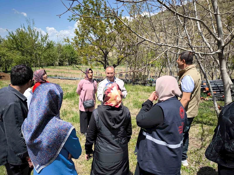 Zirai dona karşı sigorta yaptıran çiftçilerin zararları inceleniyor
