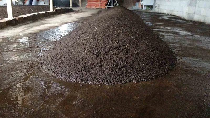 Sıvı solucan gübresiyle tarımda yüzde 30 verim artışı
