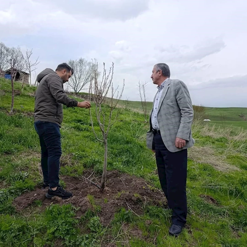 Hamur’da Çiftçilere budama ve aşılama eğitimi verildi
