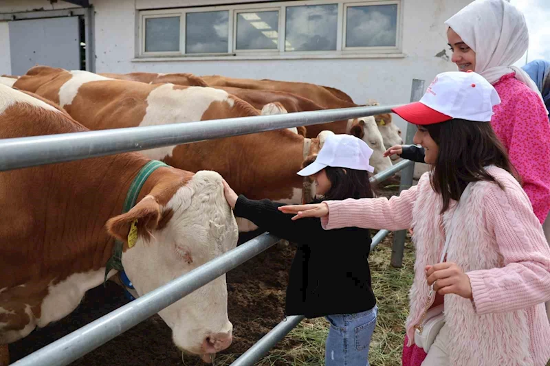 Aileyle üretim yolculuğu: Modern tesislerden tandıra, nesiller buluştu
