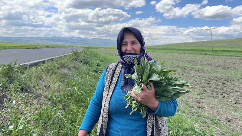 Karslı kadınların ‘evelik’ mesaisi başladı
