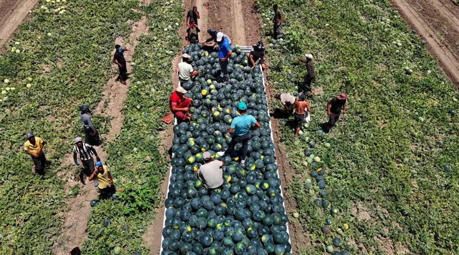 Adana