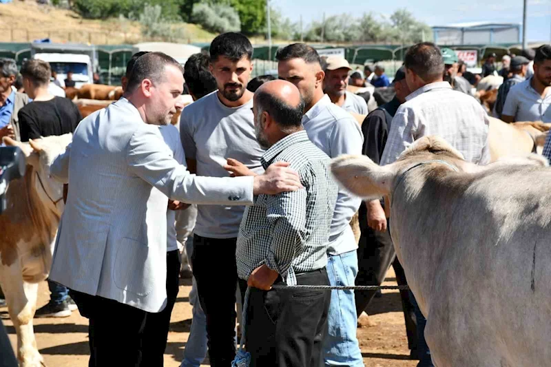 Karademir:  