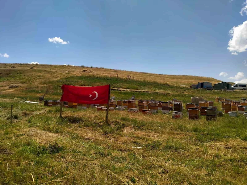 Ağrı ay yıldızlı bayraklarla donatıldı
