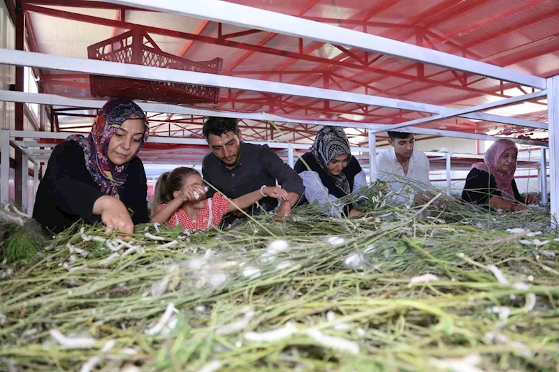 Elazığ tarihinin en büyük ipek böcekçiliği çiftliğini kurdu: Onlarca yeni üreticiye ilham oldu
